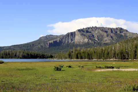 Plasse's Resort