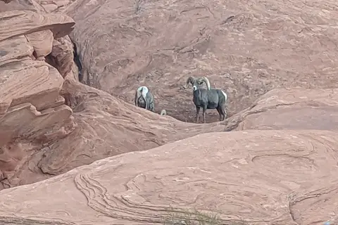 Arch Rock - Valley of Fire State Park