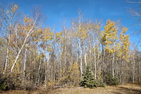 Camp Morton Provincial Park