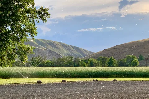 Tucannon River RV Park