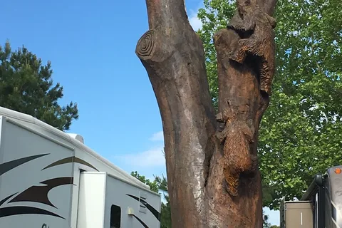 Mingo RV Park