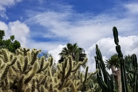 Oleander Acres RV Resort