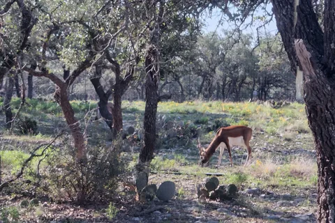 Cowboys and Angels Retreat