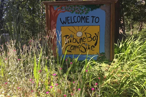 Tribune Bay Campsite