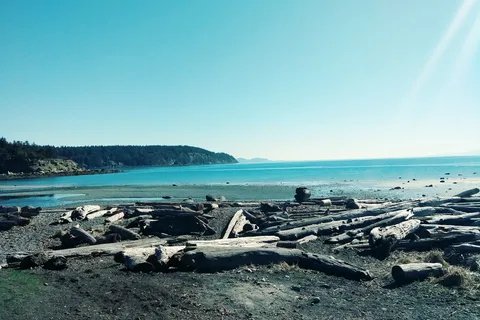 Tribune Bay Campsite