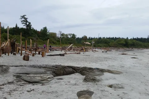 Tribune Bay Campsite