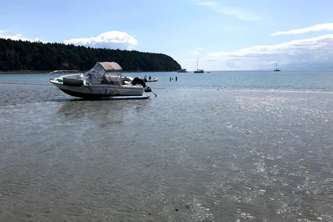 Tribune Bay Campsite