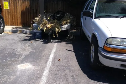 Silver Sage RV Park