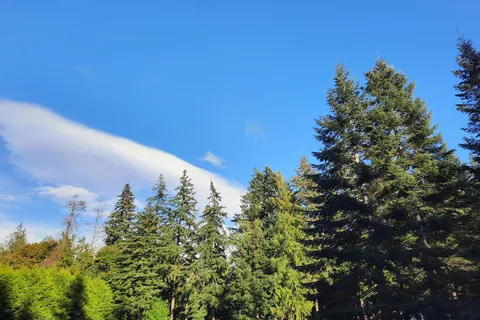 Pioneer Trails RV Resort