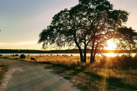 Lake Pointe RV and Condo Resort