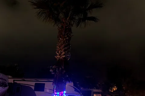 The Palms RV Park