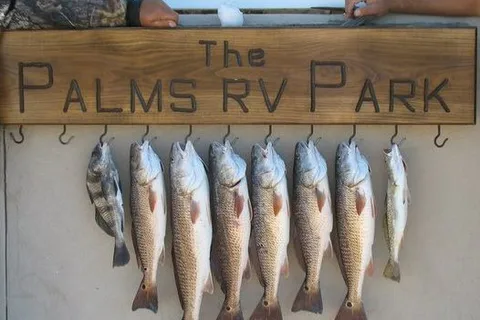 The Palms RV Park