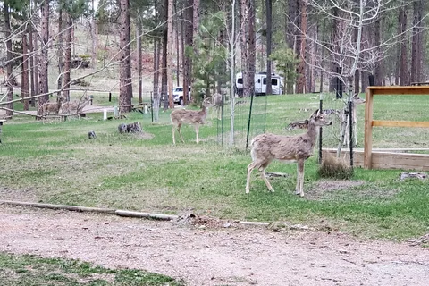 Fort Welikit Family Campground