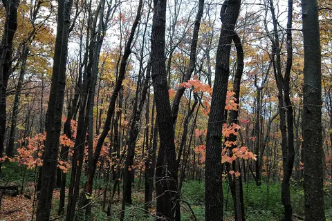 Deep Creek Lake State Park