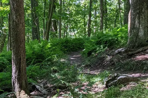 Deep Creek Lake State Park
