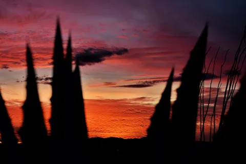 Cactus Country RV Resort