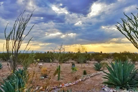 Cactus Country RV Resort