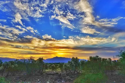 Cactus Country RV Resort