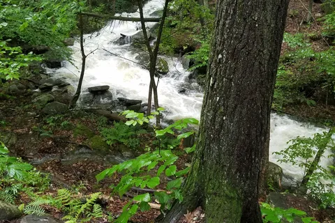 Townshend State Park