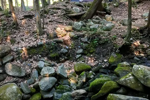 Townshend State Park
