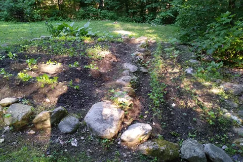 Townshend State Park