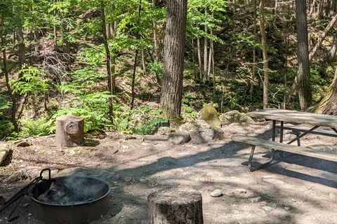 Townshend State Park