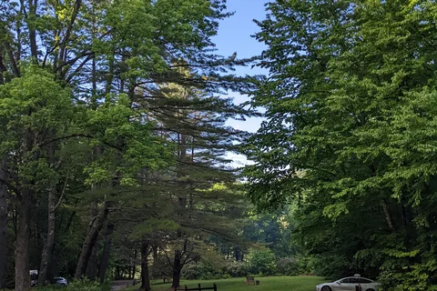 Townshend State Park