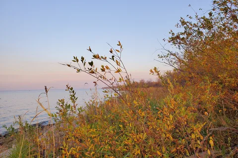 Rainbow Beach Provincial Park