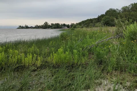 Rainbow Beach Provincial Park