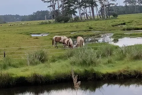 Tom's Cove Park