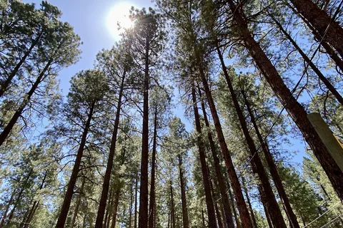 Kit Carson RV Park