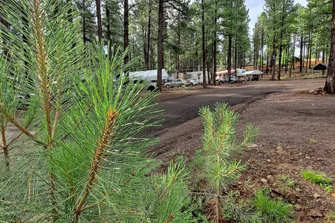 Kit Carson RV Park