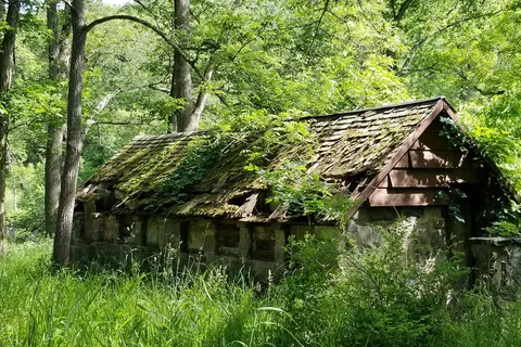 Springbrook State Park
