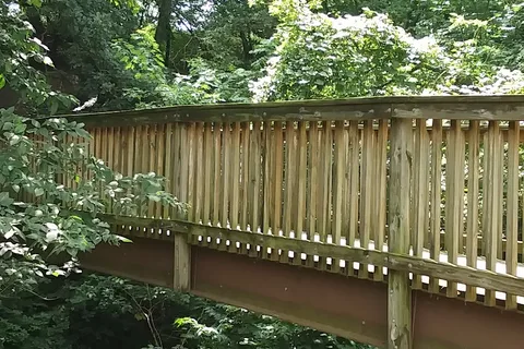 Springbrook State Park