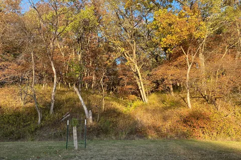 Springbrook State Park