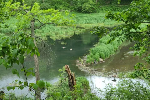 Springbrook State Park