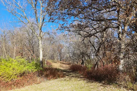Springbrook State Park