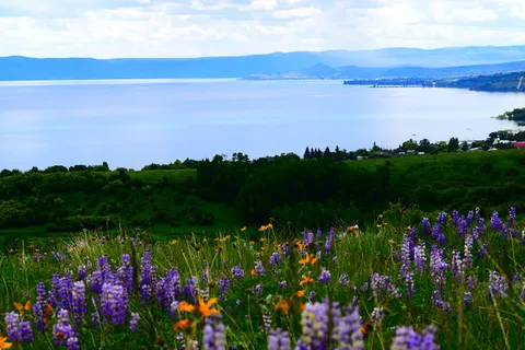 Bear Lake Venture Park