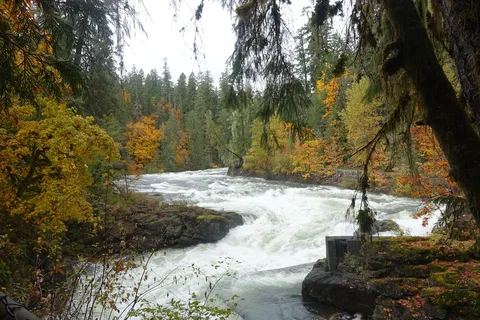 Stamp River Provincial Park
