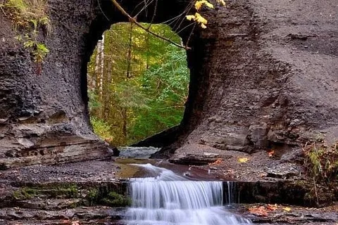 Stamp River Provincial Park