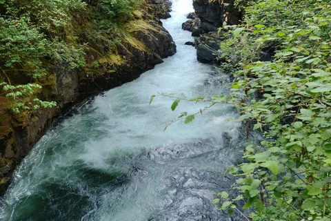 Stamp River Provincial Park