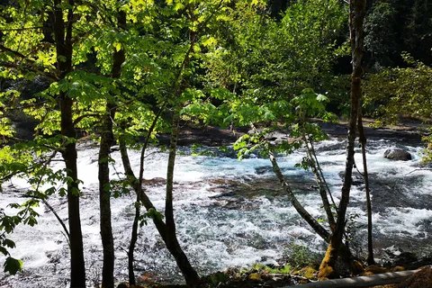 Stamp River Provincial Park