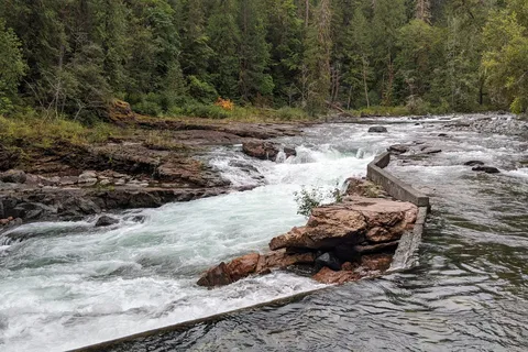 Stamp River Provincial Park