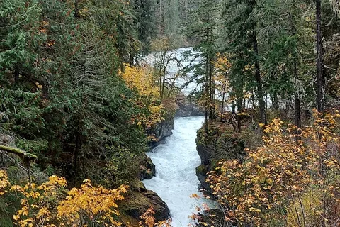 Stamp River Provincial Park