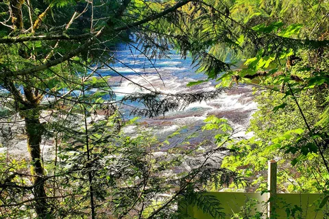 Stamp River Provincial Park