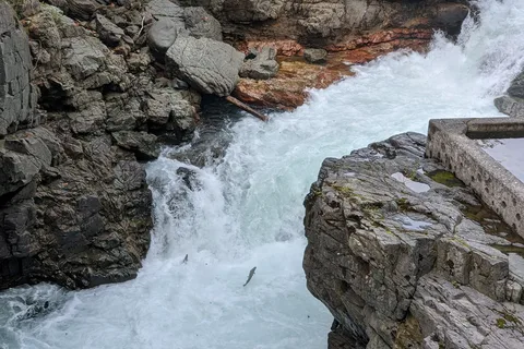 Stamp River Provincial Park