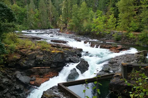 Stamp River Provincial Park