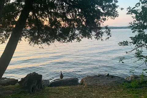 Onaway State Park