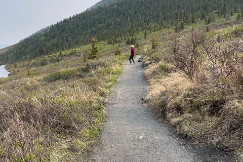 Savage River Campground - Denali National Park