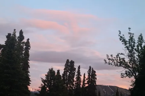 Savage River Campground - Denali National Park